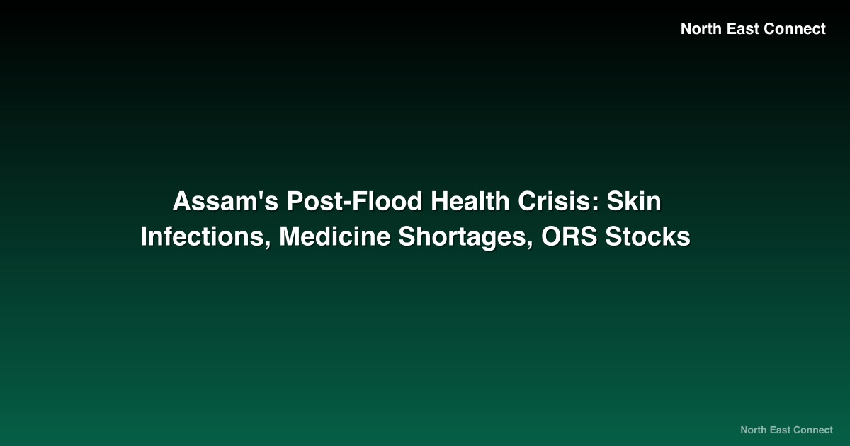 Assam's Post-Flood Health Crisis: Skin Infections, Medicine Shortages, ORS Stocks
