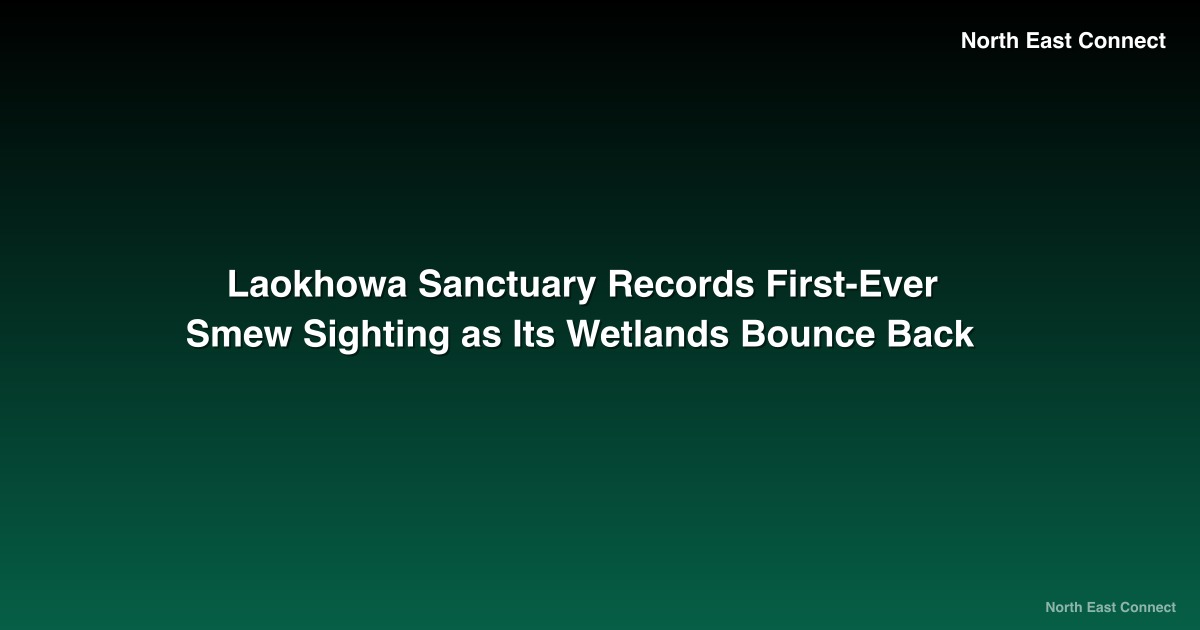 Laokhowa Sanctuary Records First-Ever Smew Sighting as Its Wetlands Bounce Back